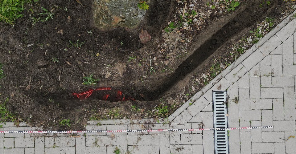 Luftaufnahme Baumkontrolle – Kronenbeurteilung aus der Vogelperspektive