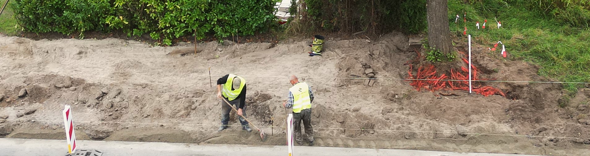 Drohnenaufnahme für dendrologische Baumbeurteilung