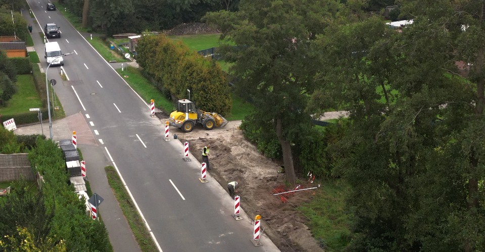 Luftaufnahme Einzelbaum – Schadensanalyse